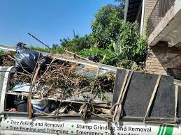 Best Hoarding Cleanup in Cedar Ridge, CA